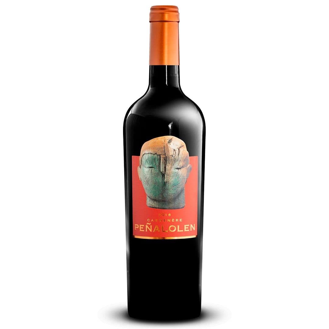 Vino Peñalolén Carmenere 750cc_1