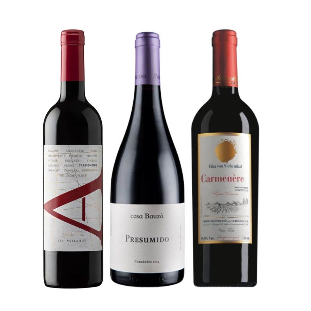 TRIO VIK - BAUZA - VON SIEBENTHAL: 1x Vino VIK A Carmenere 750cc + 1x Vino Casa Bauzá Presumido Carmenere 750cc + 1x Vino Von Siebenthal Gran Reserva Parcela 7 750cc_1
