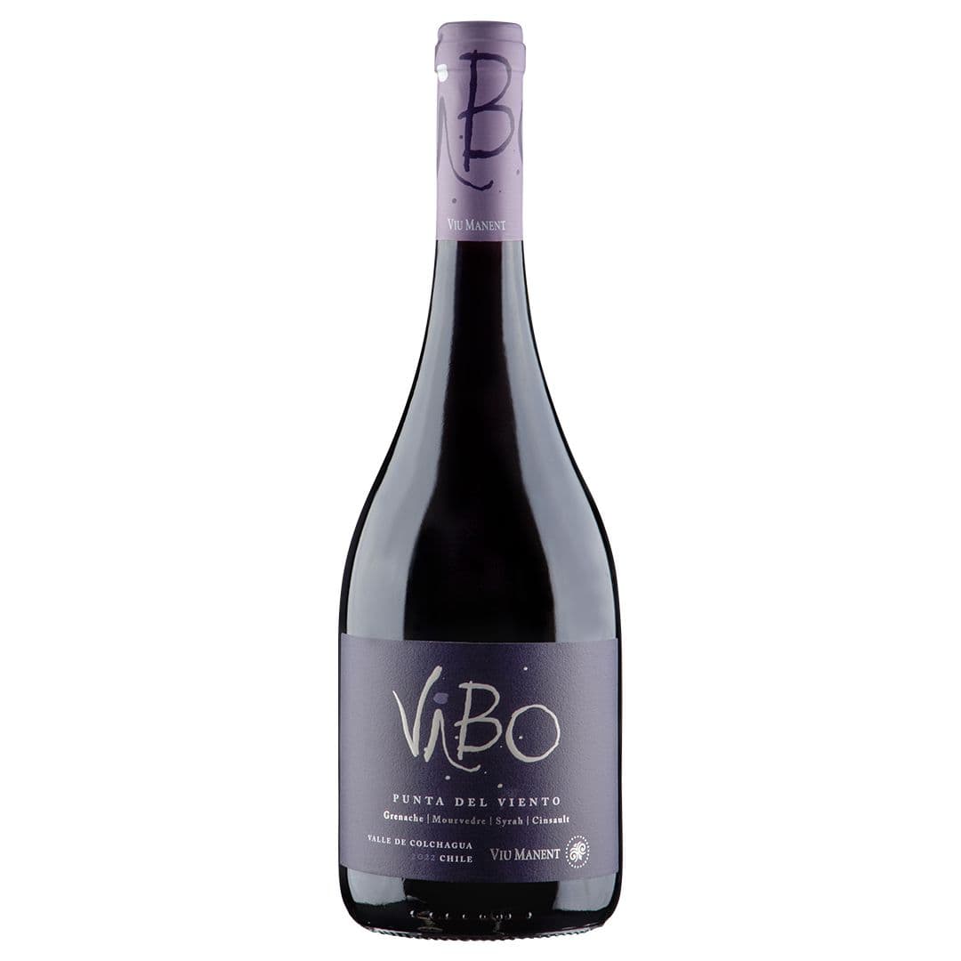 Vino Viu Manent VIBO Punta del Viento MT-I 750cc_1