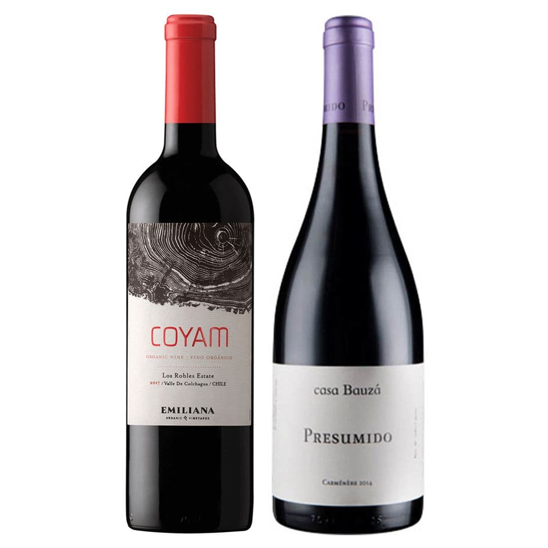 GRAN DUO COYAM - PRESUMIDO: 1x Vino Orgánico COYAM 750cc + 1x Vino Casa Bauzá Presumido Carmenere 750cc_1
