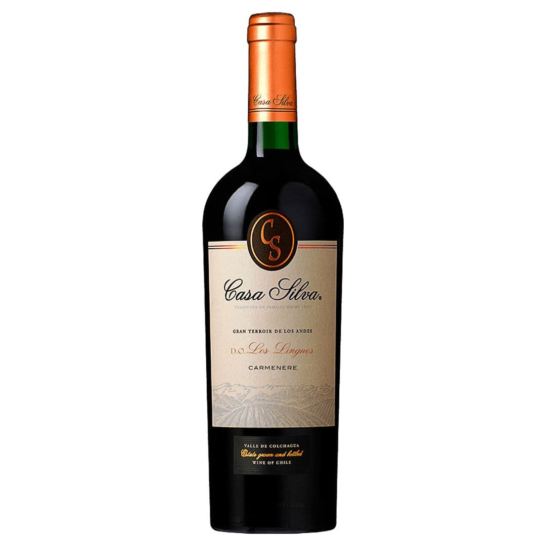Vino Casa Silva Gran Terroir Carmenere 750cc_1