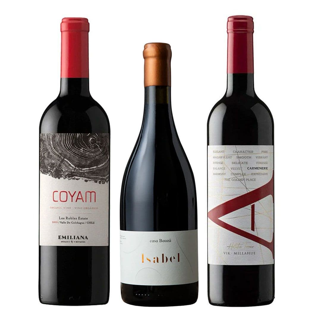 TRIO VIK - COYAM - BAUZA: 1x Vino VIK A Carmenere 750cc + 1x Vino Orgánico COYAM 750cc + 1x Vino Ícono Casa Bauzá Isabel 750cc_1