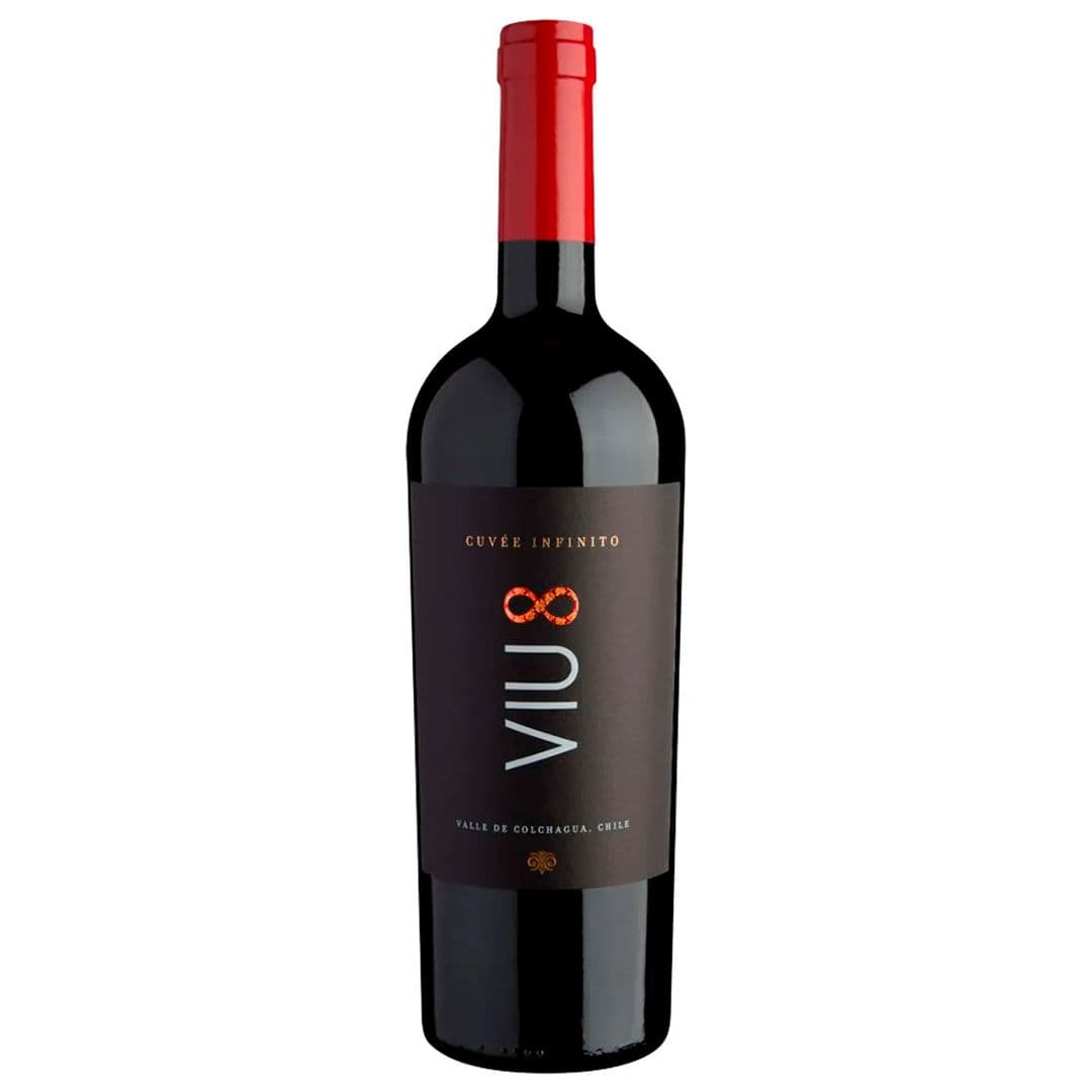 Vino Viu Manent Viu Infinito Cabernet Sauvignon 750cc_1