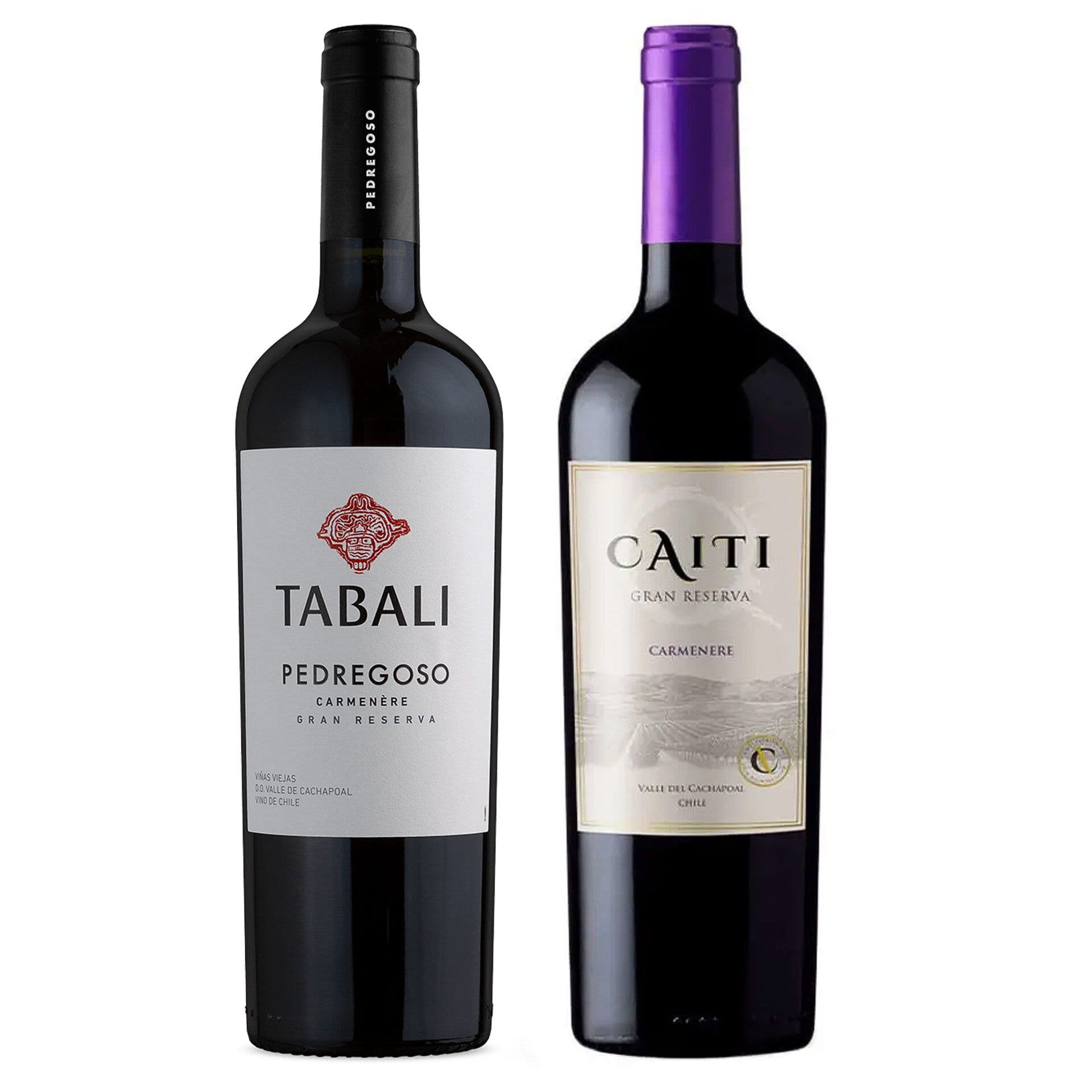 DUO CAITÍ - TABALI (Carmenere): 1x Vino Caiti Gran Reserva Carmenere 750cc + 1x Vino Tabali Pedregoso Gran Reserva Carmenere 750cc_1