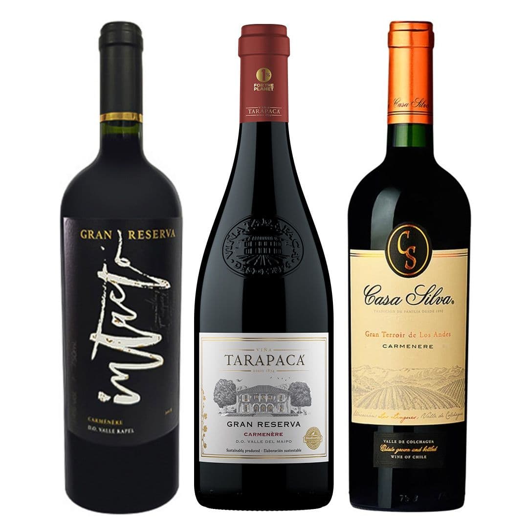 PACK INTACTO N°1: 1x Vino Miravalle Intacto Gran Reserva Carmenete 750cc + 1x Vino Tarapacá Gran Reserva Carmenere 750cc + 1x Vino Casa Silva Gran Terroir Carmenere 750cc_1