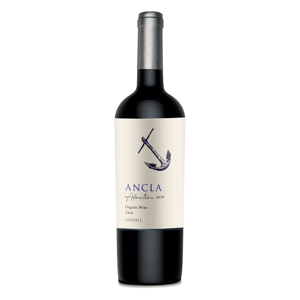 Vino Odfjell Ancla Adventure Ensamblaje 750cc_1